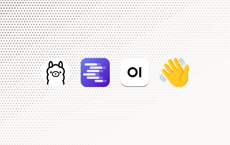 Local LLM stacks: the compared products as a logo collection grid